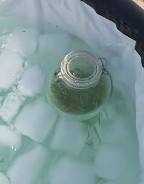 Agua fresca